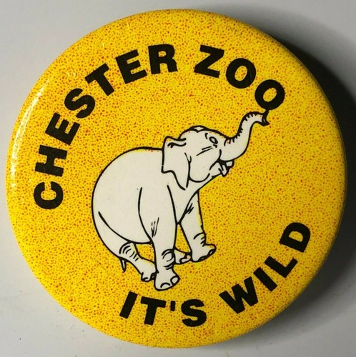 Vintage chester zoo souvenir - vintage,